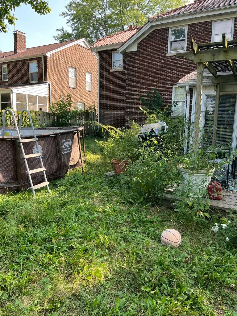 Full Backyard Cleanup — before