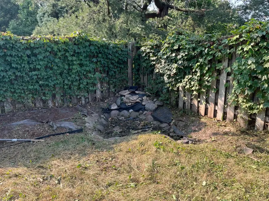 Overgrown Shrub Clearing — after